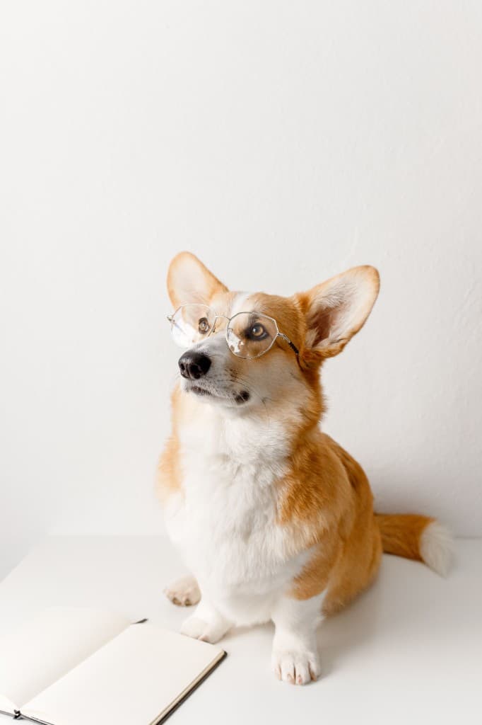 A tan and white dog wearing glasses next to an open notebook