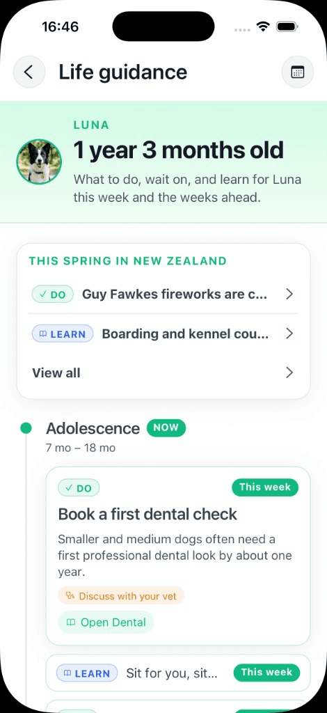 App preview: Life guidance